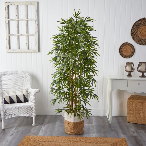 Bamboo Tree in Woven Basket, 6 ft.