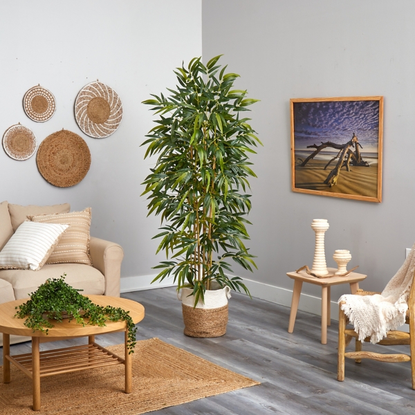 Bamboo Tree in Woven Basket, 6 ft.