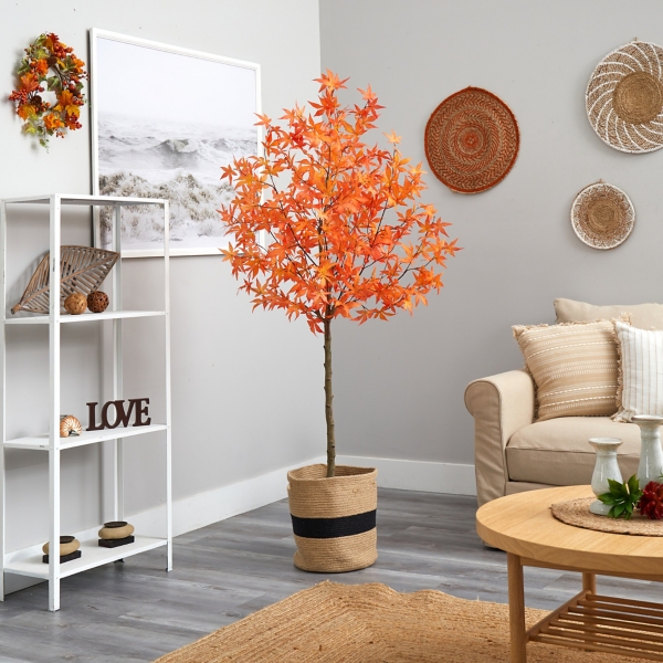 Fall Maple Tree in Woven Planter, 6 ft.