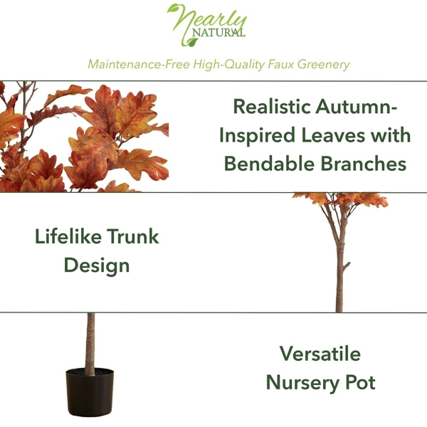 Orange Oak Tree in Black Planter, 5 ft.