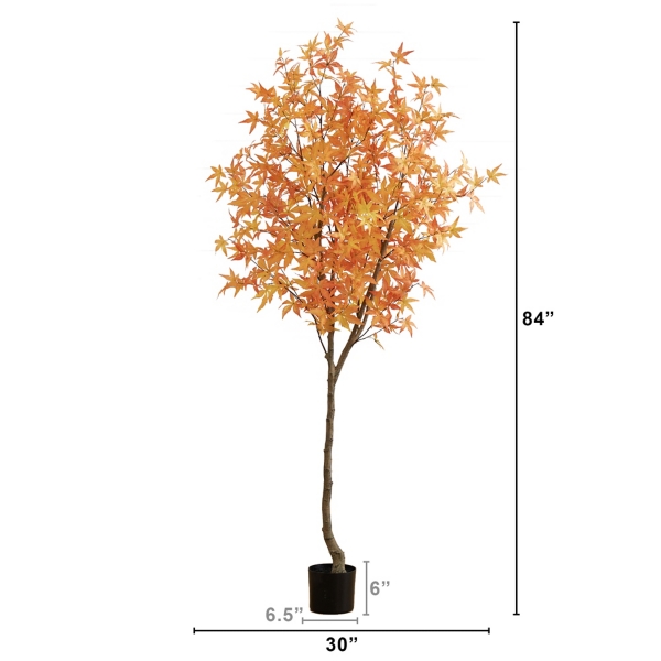 Orange Maple Tree in Black Planter, 7 ft.