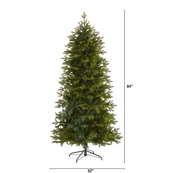 7ft. Belgium Fir Christmas Tree