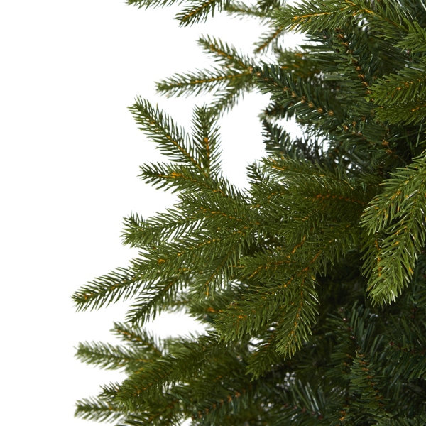 7ft. Belgium Fir Christmas Tree