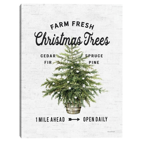 Farm Fresh Christmas Trees Canvas Print