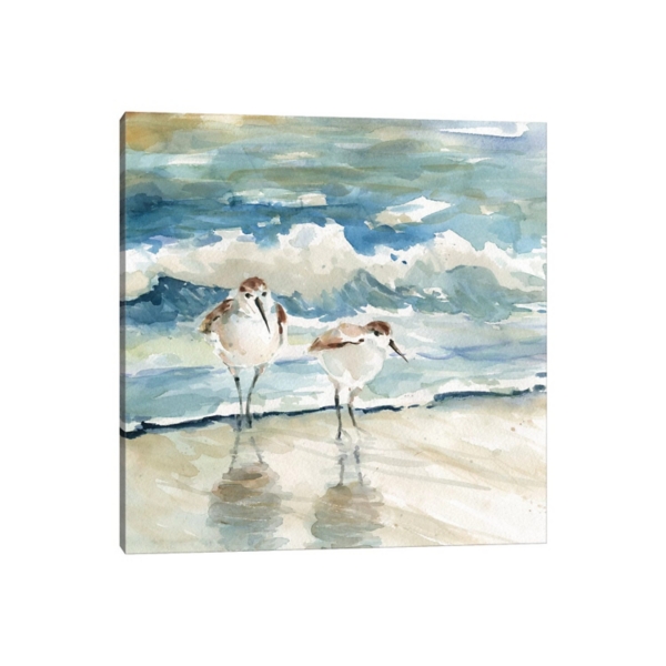 Beach Birds Canvas Art Print