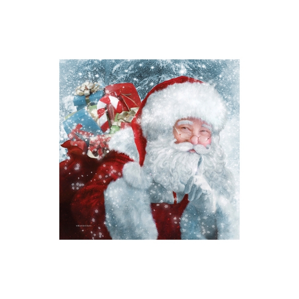 Santa Gifts & Snowflakes Canvas Print, 40x40 in.