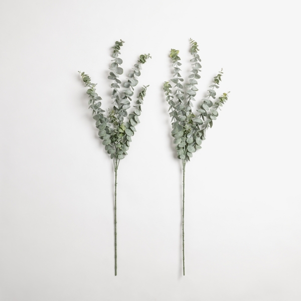 Frosted Eucalyptus Stems, Set of 2