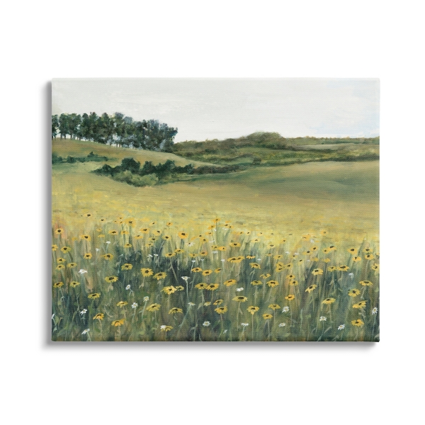 Rural Daisy Meadow Canvas Art Print | Kirklands Home