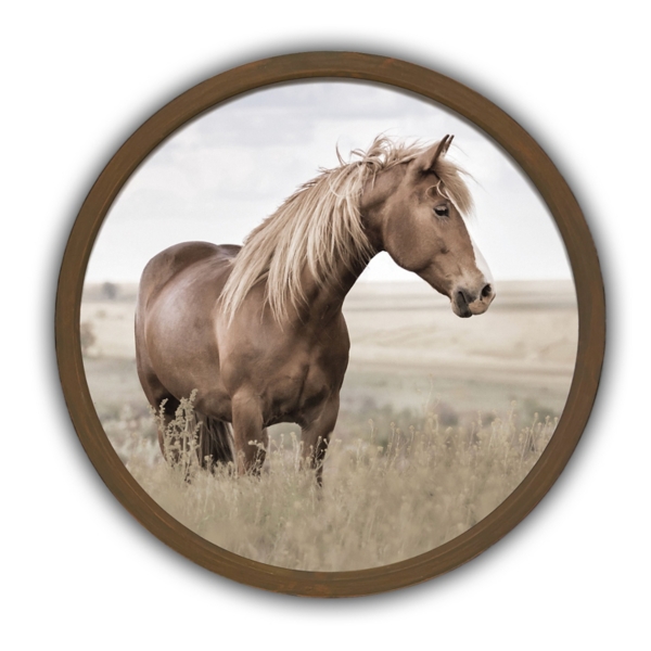 Horse Pasture Round Framed Art Print