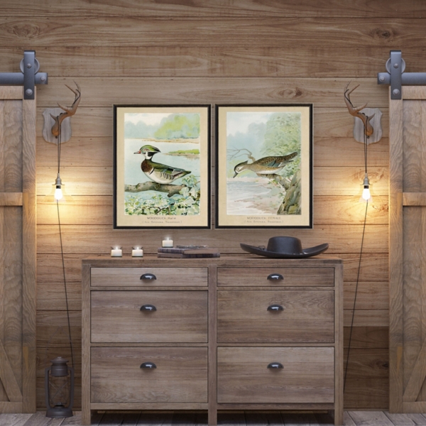 Wood Duck Duo Framed Art Prints, Set of 2