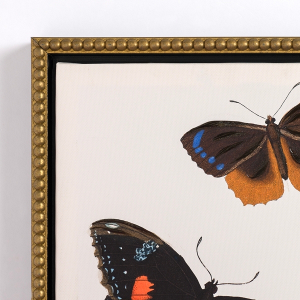 Butterfly Swarm Framed Canvas Art Prints, Set of 3