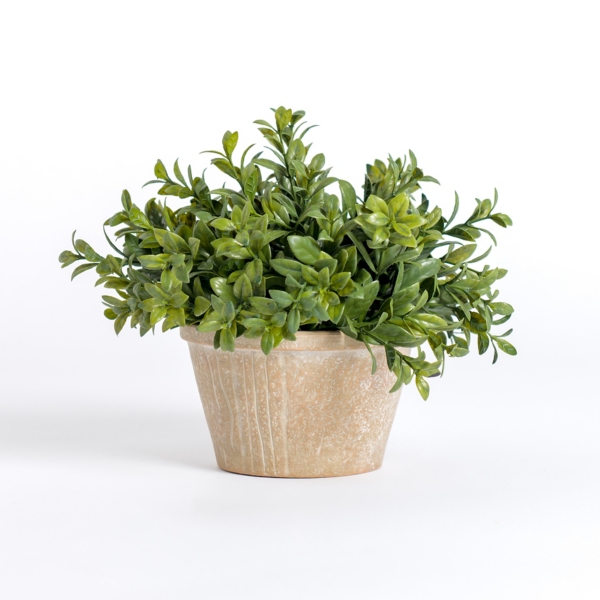 Green Boxwood Arrangement in Ceramic Pot | Kirklands Home