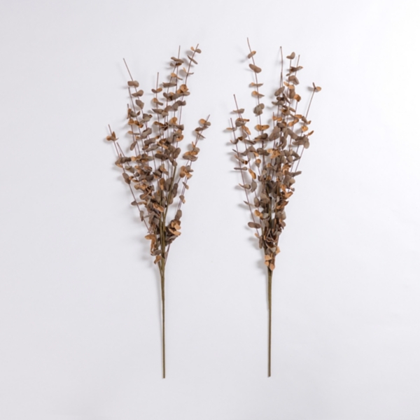 Foam Eucalyptus Sprays, Set of 2