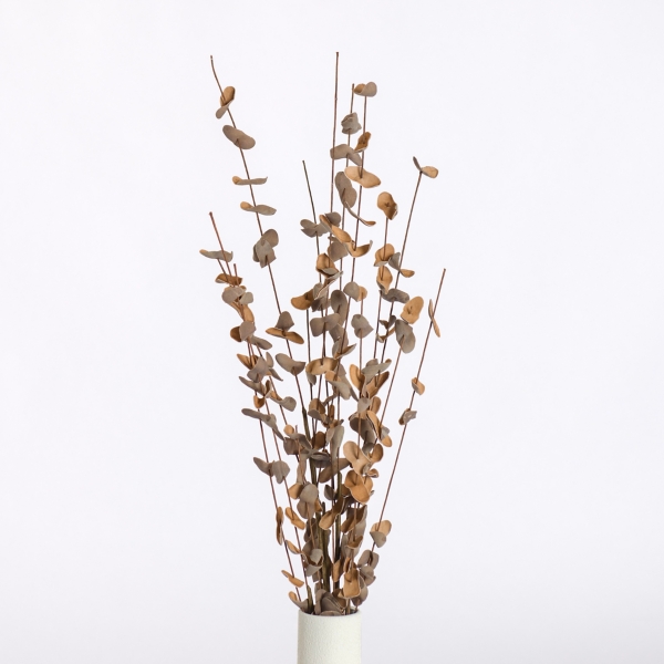 Foam Eucalyptus Sprays, Set of 2