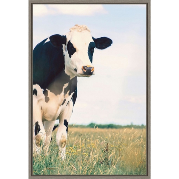 Kenton Cow Framed Canvas Art Print