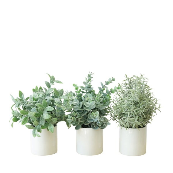 Succulent Arrangements in Ceramic Pots, Set of 3