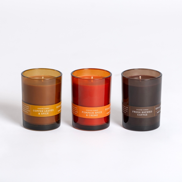 Fall Assorted 3 pc. Candle Gift Set