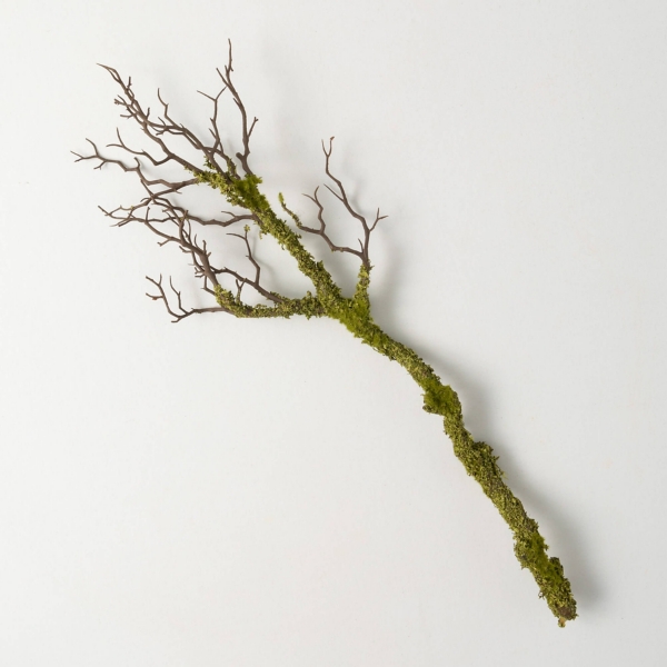 Mossy Branch Decorative Stem Kirklands Home