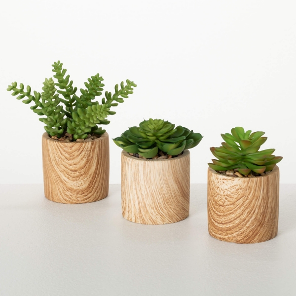 Assorted Succulents in Wooden Pots, Set of 3 | Kirklands Home