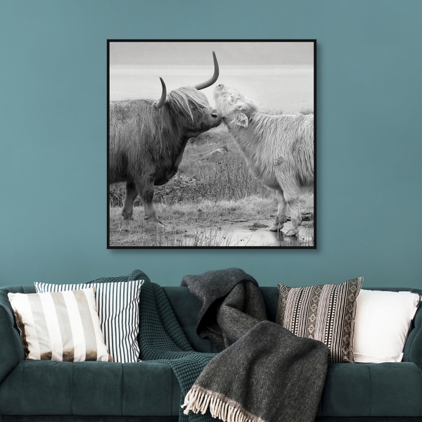 Highland Courting Framed Canvas Art Print