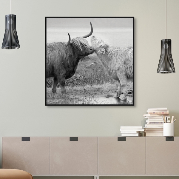 Highland Courting Framed Canvas Art Print