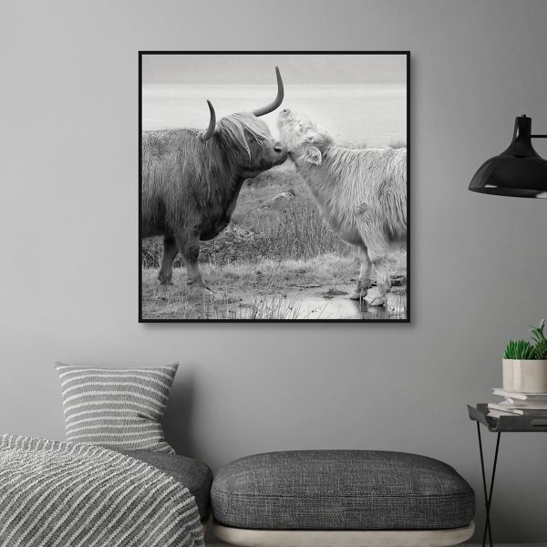 Highland Courting Framed Canvas Art Print