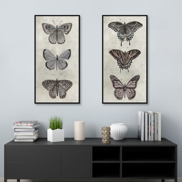 Antique Butterflies Framed Canvas Prints, Set of 2