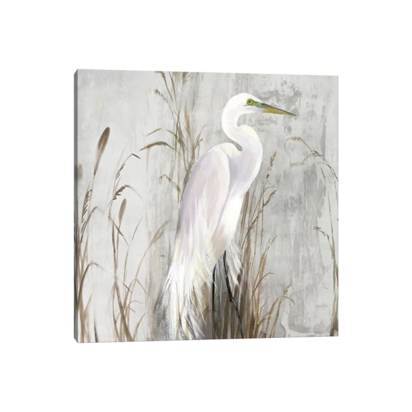 Heron in the Reeds Canvas Art Print