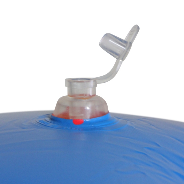 Giant Parrot Inflatable Pool Float