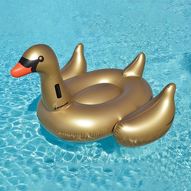 Giant Gold Swan Inflatable Pool Float Kirklands Home