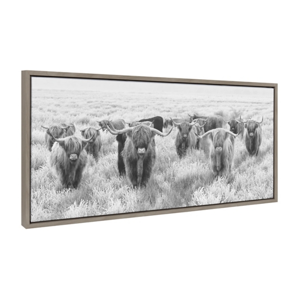 Black & White Highland Herd Canvas Art Print