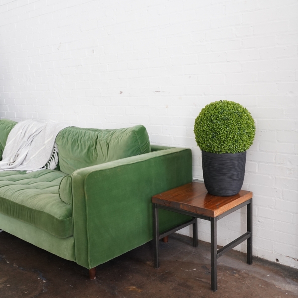 Boxwood Topiary in Decorative Black Pot
