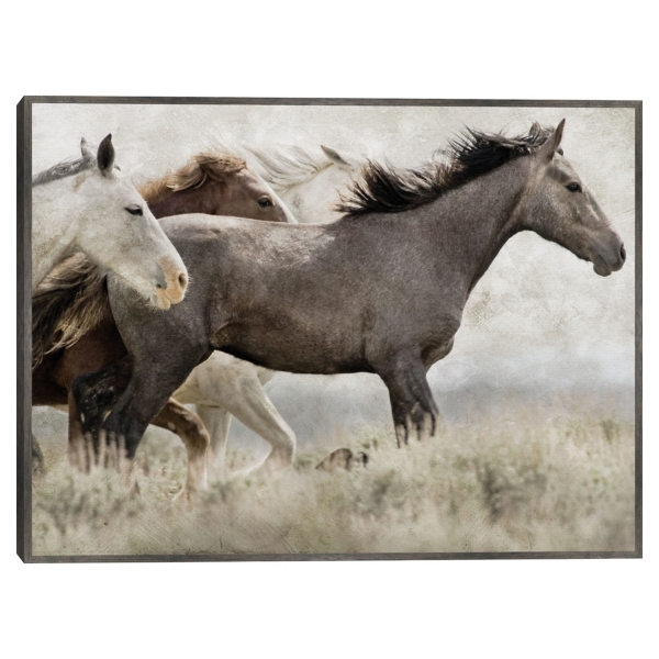 Thunder Ridge Distressed Framed Canvas Art Print | Kirklands Home