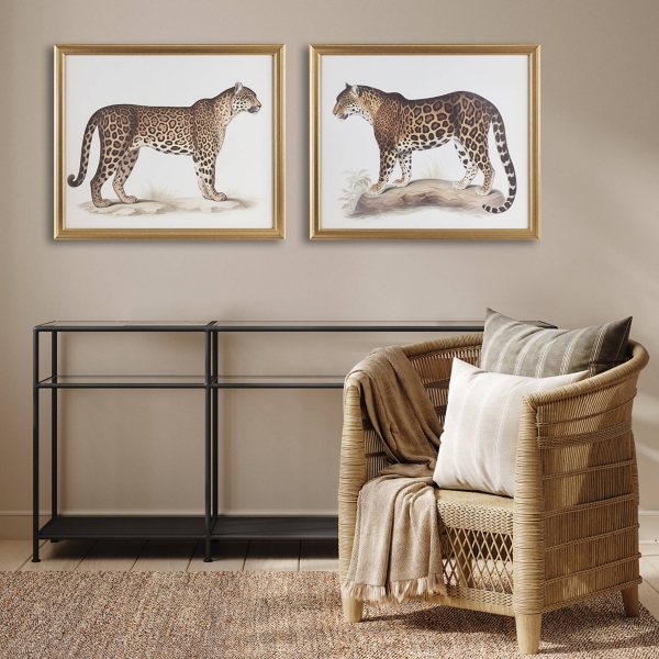 Two Cheetahs Framed Wall Art, Set of 2