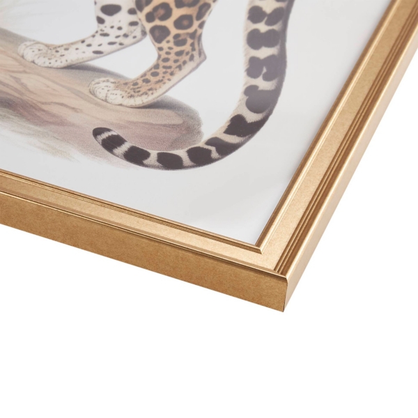 Two Cheetahs Framed Wall Art, Set of 2