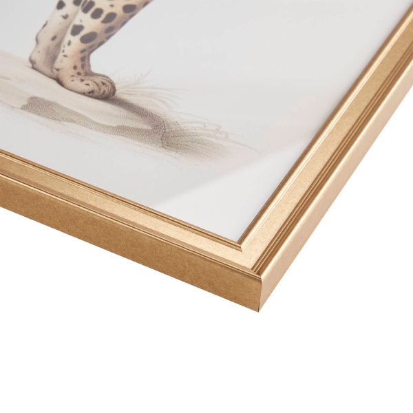 Two Cheetahs Framed Wall Art, Set of 2