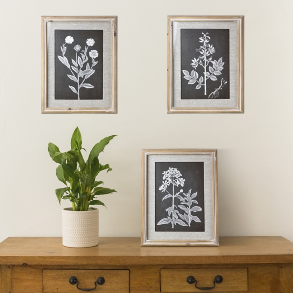 Gray Botanical Framed Wall Prints, Set of 3 Kirklands Home
