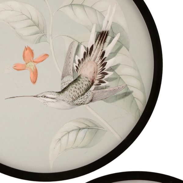Hummingbird Round Framed Wall Plaques, Set of 2
