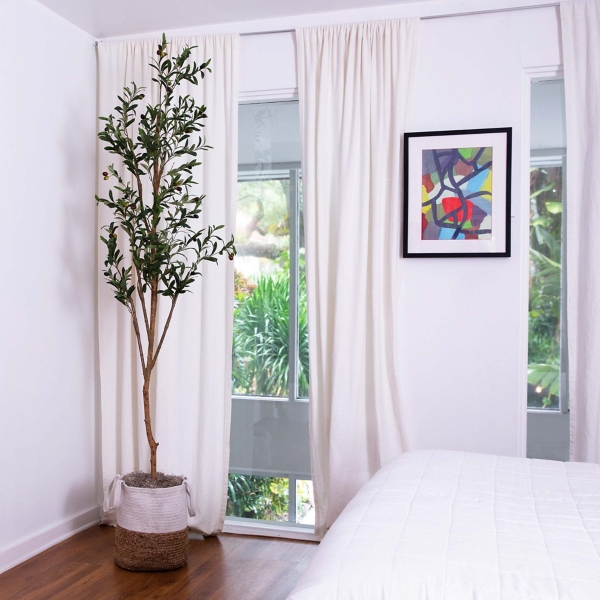 Slim Olive Tree in Woven Planter, 7 ft.