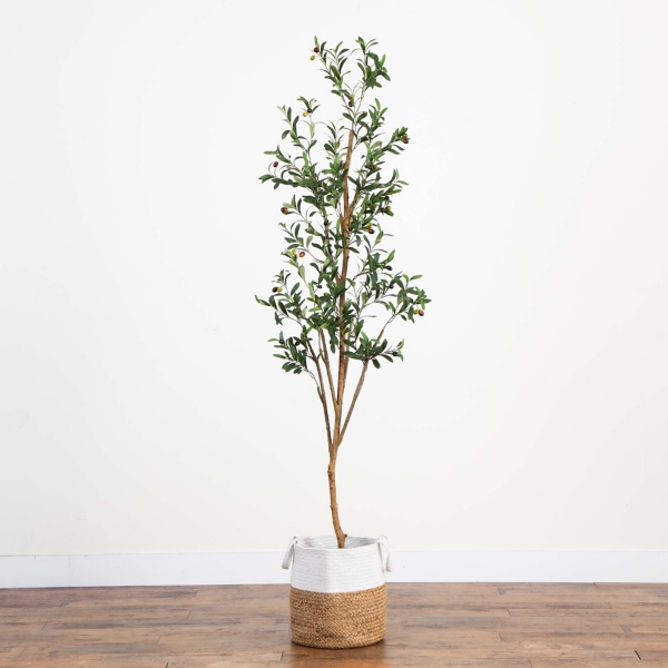 Slim Olive Tree in Woven Planter, 7 ft.