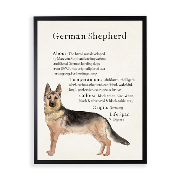 German Shepherd Facts Framed Wall Plaque | Kirklands Home