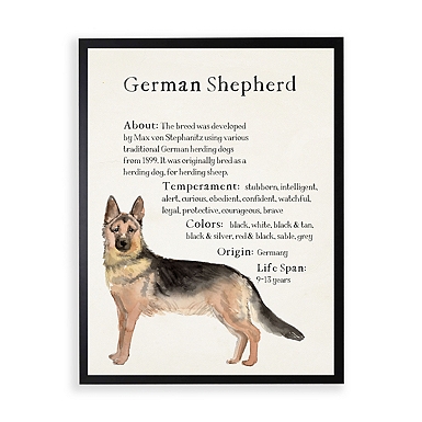 German Shepherd Facts Framed Wall Plaque Kirklands Home - Main Image