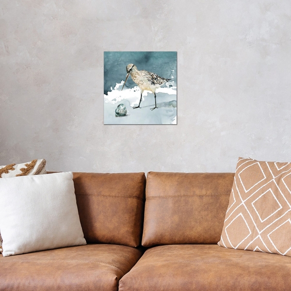 Delray Sandpiper Canvas Art Print