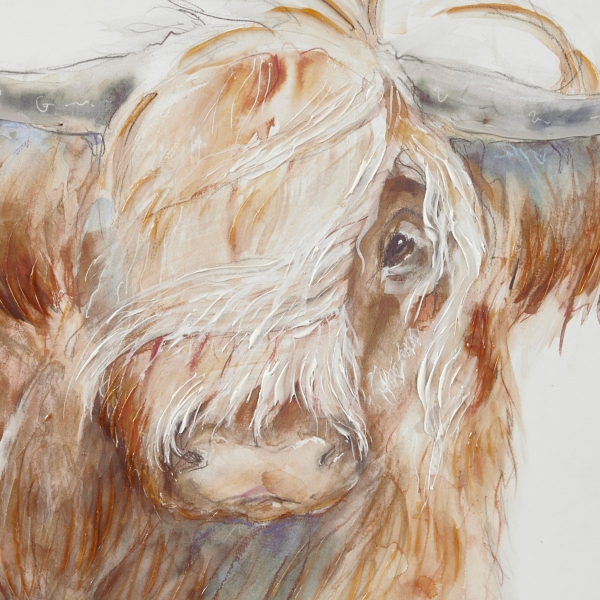 Windswept Highland Bull Canvas Art Print