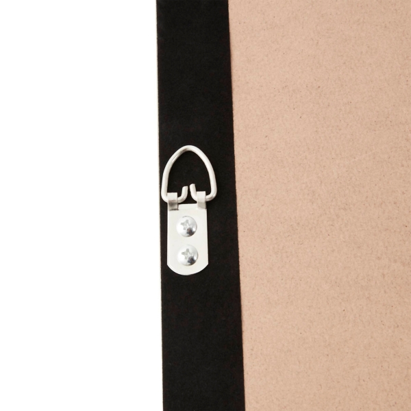 Sand Dollar Rice Paper Shadowbox Wall Plaque