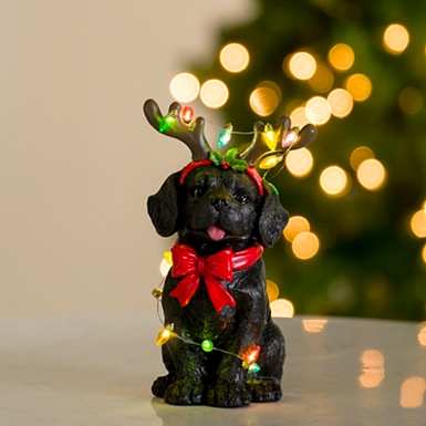 Black Lab with Santa Hat Christmas Pillow Kirklands Home