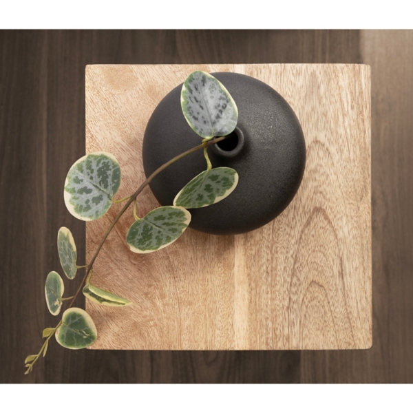 Mango Wood Tabletop Square Side Table