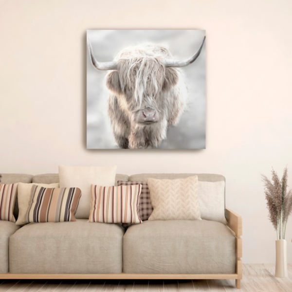 Solo Highland Cow Canvas Art Print, 40x40
