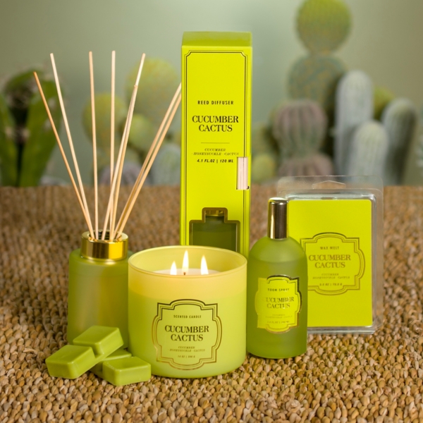 Cucumber Cactus Diffuser Set