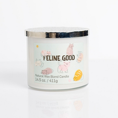 Furever Friends + ScentSilent 3-Wick Jar Candle | Kirklands Home
